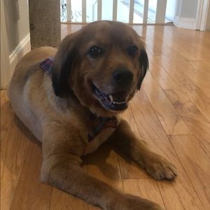 Meet your Posher, Jenna